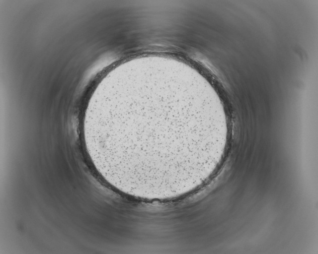 X0000112861402200910021302