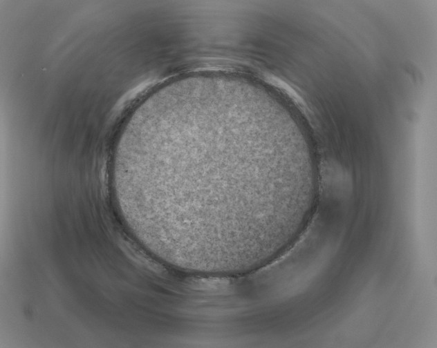 X0000112861403200910021302