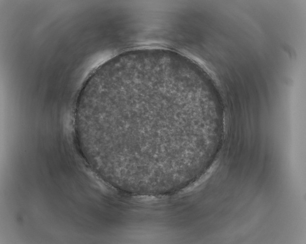 X0000112861405200910021302