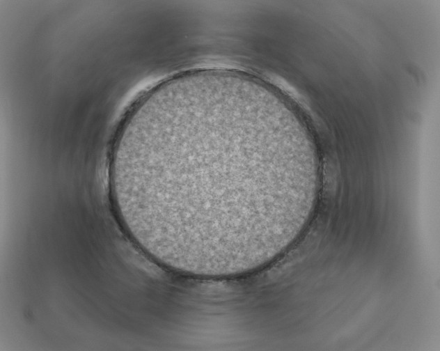 X0000112861408200910021302