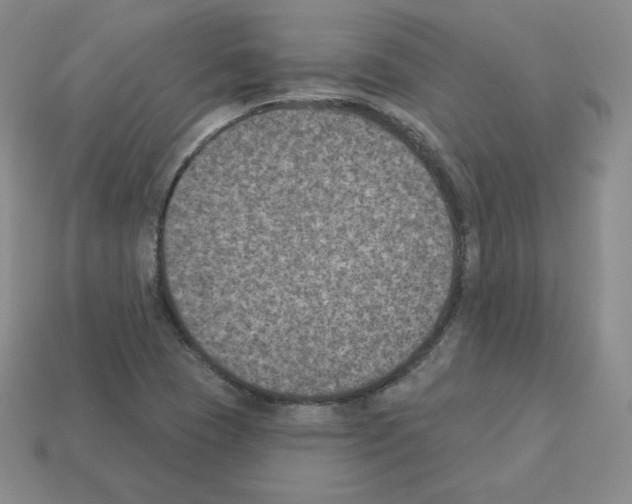 X0000112861409200910021302