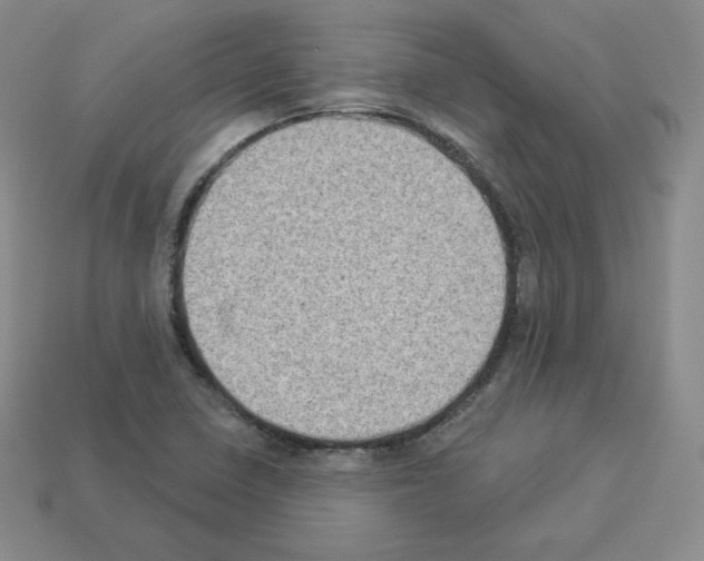 X0000112861410200910021302