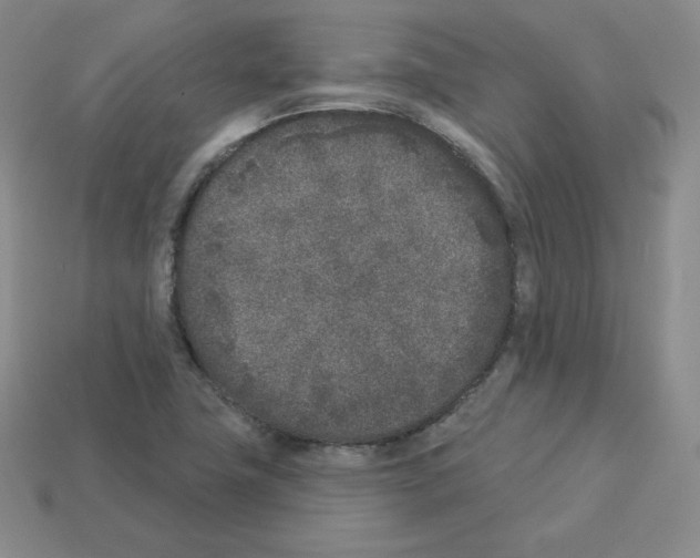 X0000112861411200910021302
