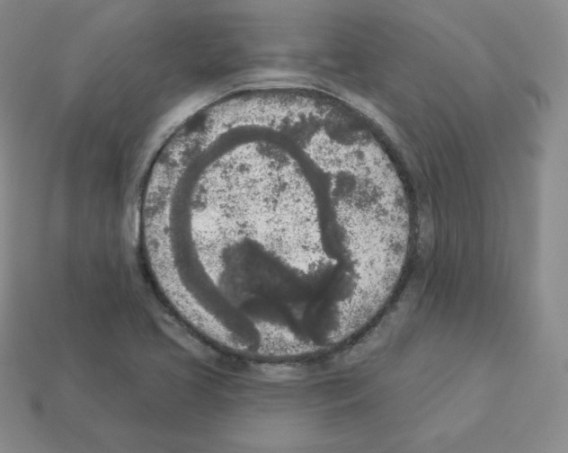 X0000112861413200910021302