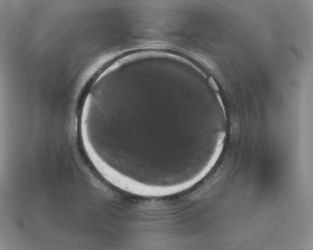X0000112861414200910021302