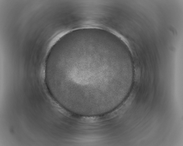 X0000112861415200910021302
