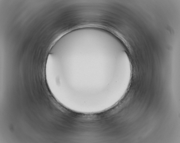 X0000112861417200910021302