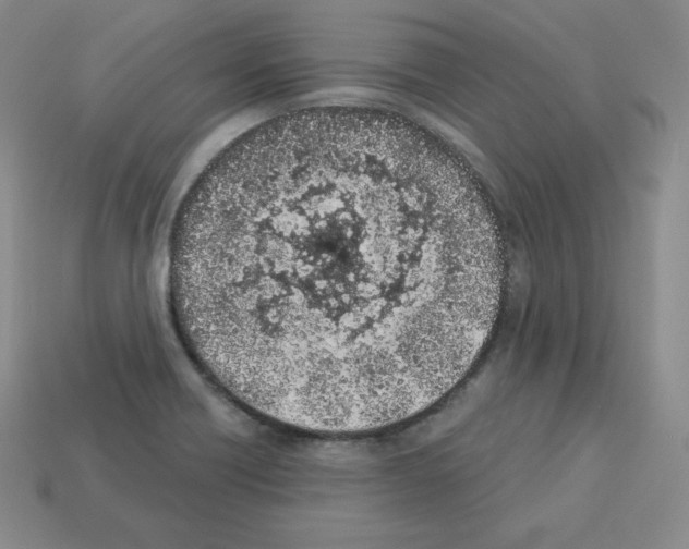 X0000112861418200910021302