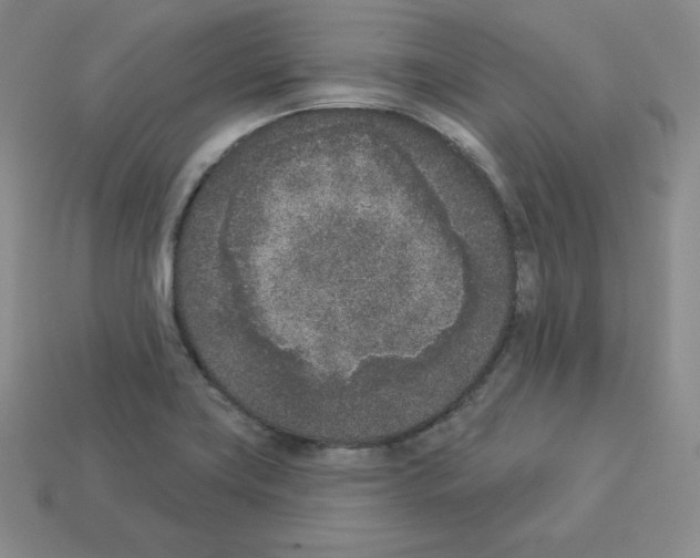 X0000112861419200910021302