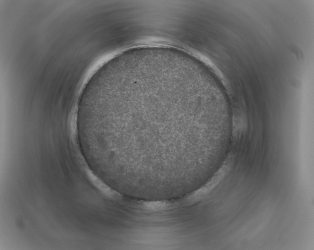 X0000112861421200910021302