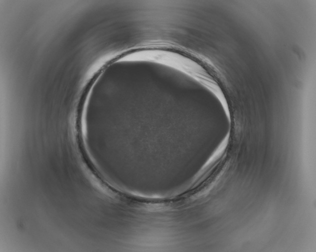 X0000112861422200910021302