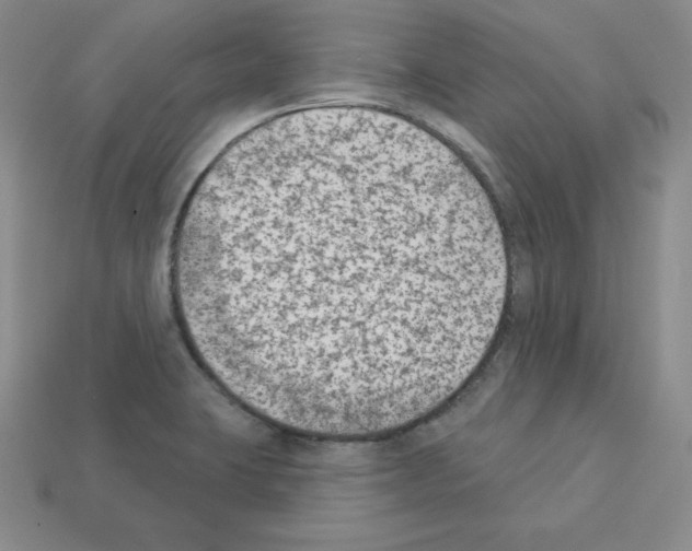 X0000112861423200910021302