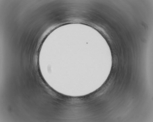 X0000112861424200910021302