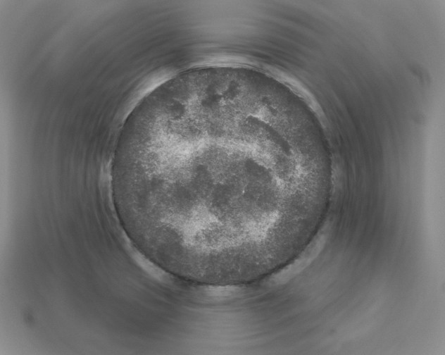 X0000112861425200910021302