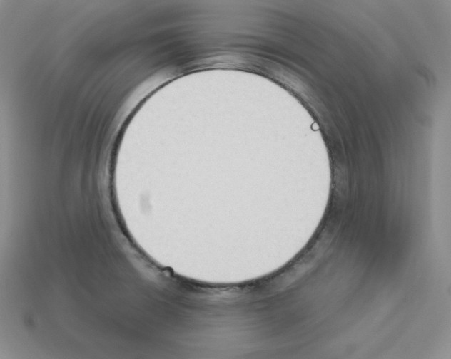 X0000112861426200910021302