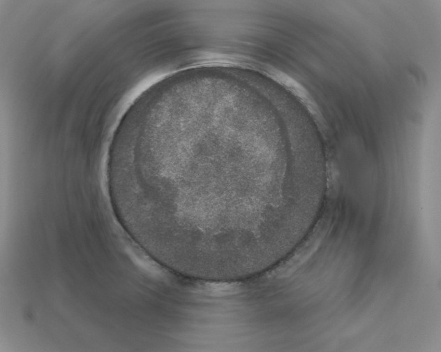 X0000112861427200910021302