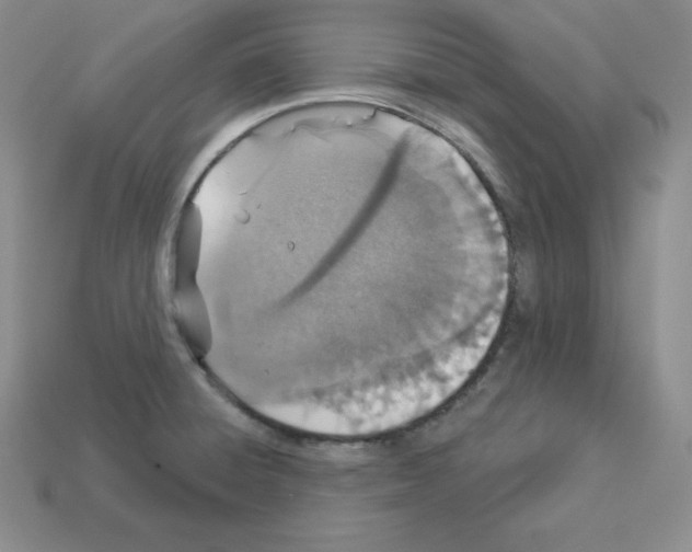 X0000112861428200910021302