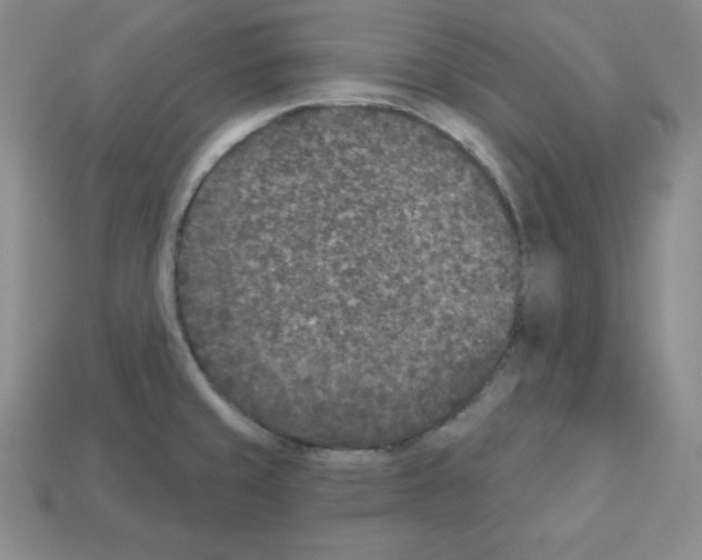 X0000112861429200910021302