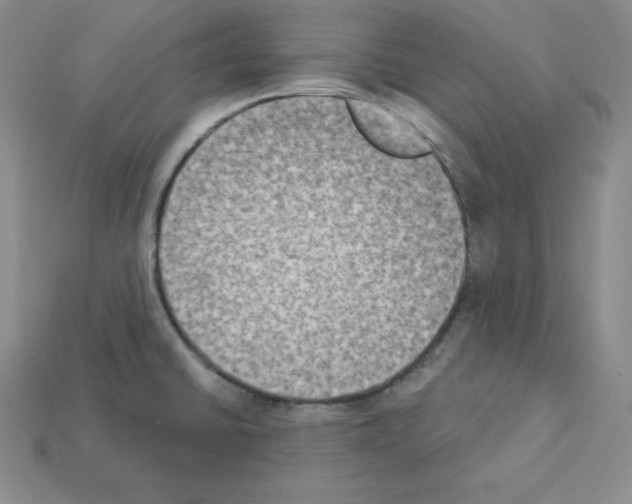 X0000112861430200910021302