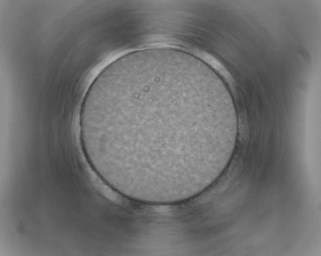 X0000112861431200910021302