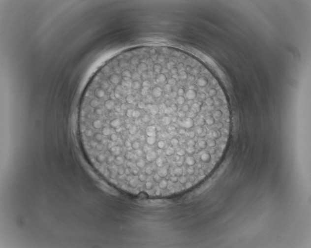 X0000112861432200910021302
