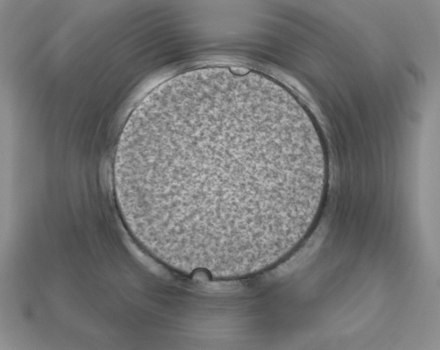 X0000112861433200910021302