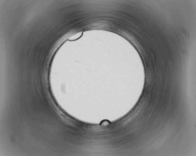 X0000112861434200910021302