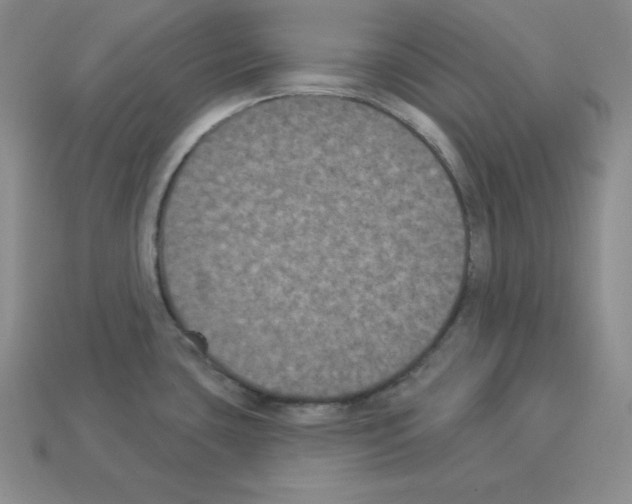 X0000112861435200910021302
