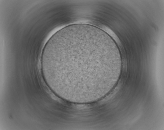 X0000112861436200910021302