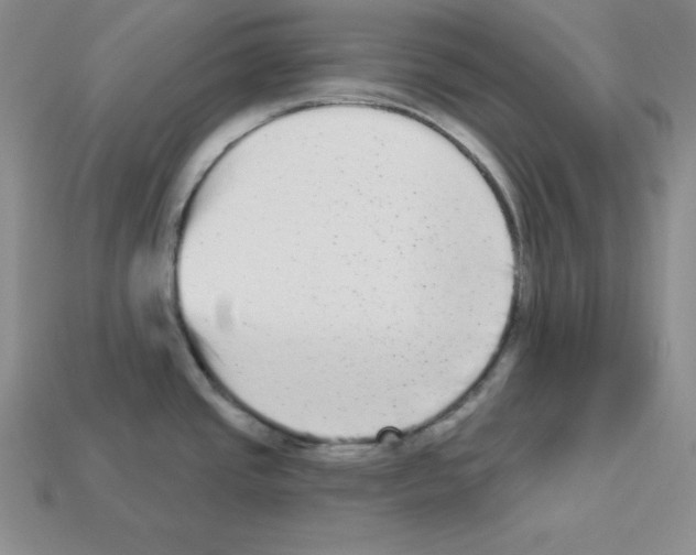 X0000112861437200910021302