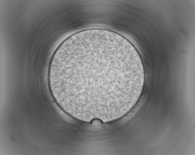 X0000112861438200910021303