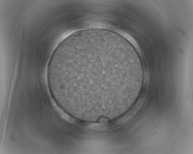X0000112861439200910021303