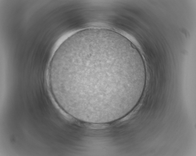 X0000112861440200910021303