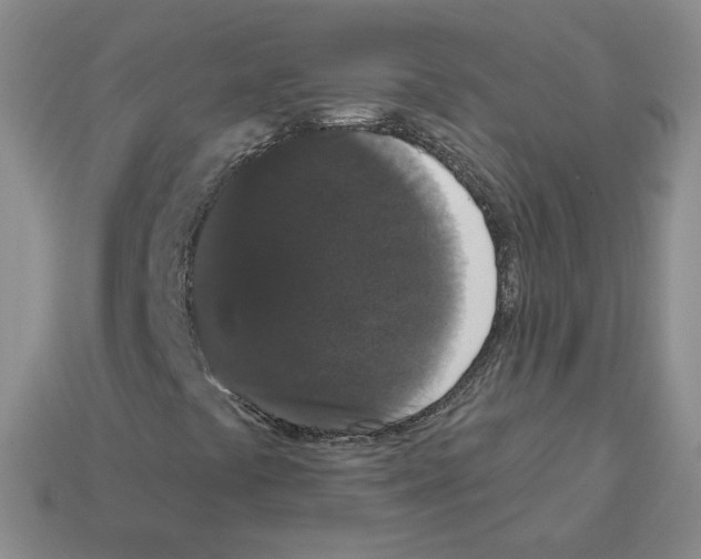X0000112861441200910021302