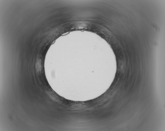 X0000112861442200910021302