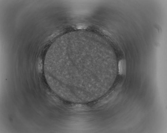 X0000112861443200910021302