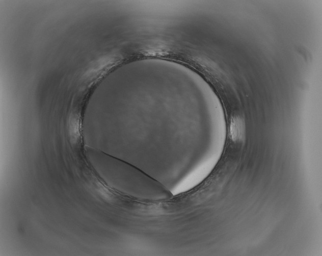 X0000112861444200910021302
