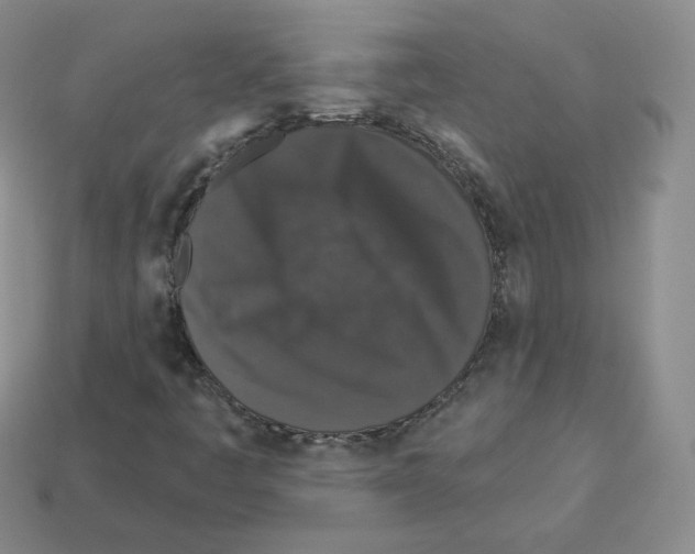 X0000112861445200910021302