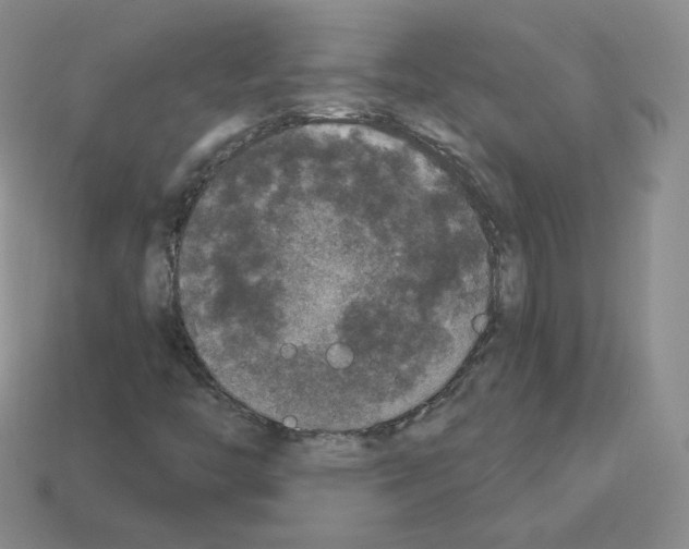 X0000112861446200910021302