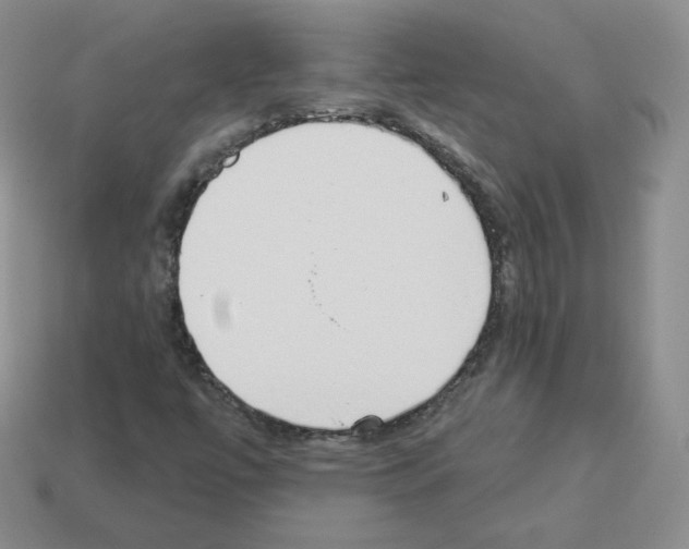 X0000112861447200910021302