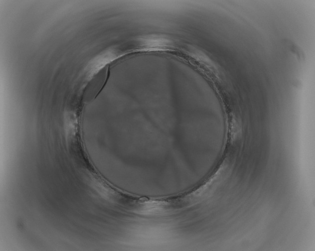 X0000112861449200910021302
