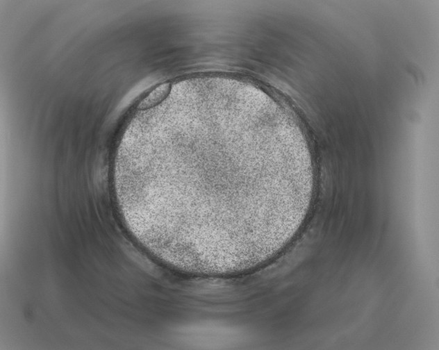 X0000112861450200910021302