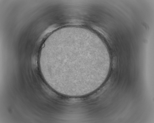 X0000112861451200910021302