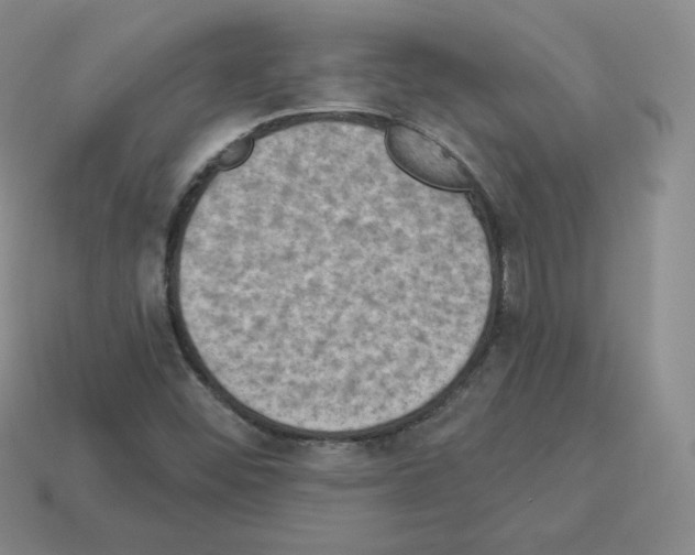 X0000112861452200910021302