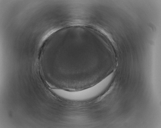 X0000112861453200910021302