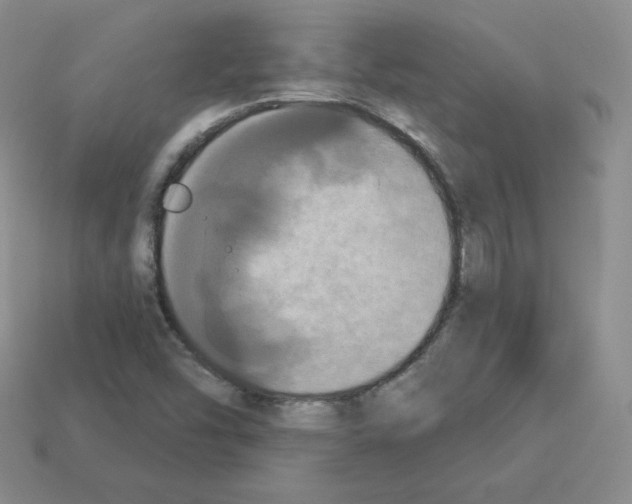 X0000112861454200910021302