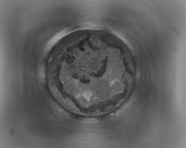 X0000112861455200910021302