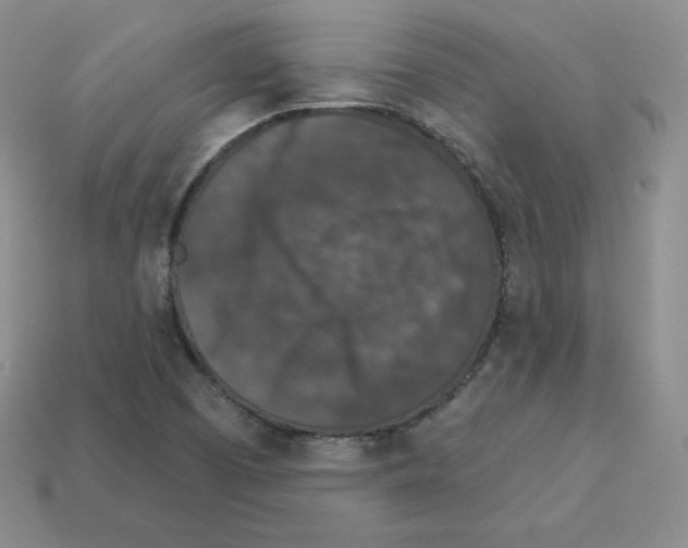 X0000112861457200910021302