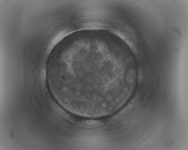 X0000112861459200910021302