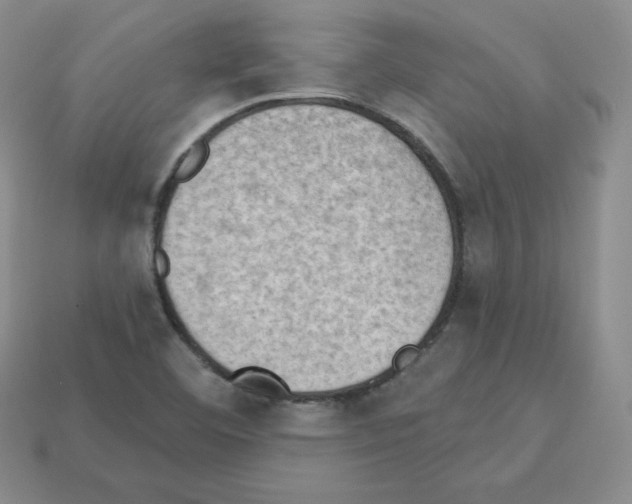 X0000112861460200910021302